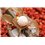 Method feeder in line 45 grame X-Safe Large Guru