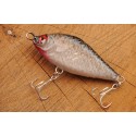 Slider Zara by Tase 7cm / 17g realfish sinking