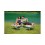 Masa de camping Coleman 6 in 1