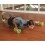Set 2 roti pentru antrenament fitness Schildkrot