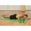 Aparat fitness multifunctional pentru tocul usii Schildkrot Turtle 4 in 1