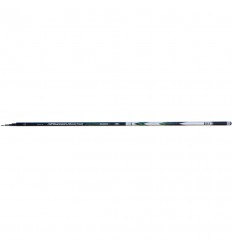 Varga carbon telescopica pescuit, 6 metri, 25 g Lineaeffe Master