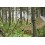 Tenda 3 x 3 m DD Hammocks prelata camuflaj