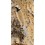 Cutit Marttiini Wood Grouse Gift Box cu teaca piele, lama 110 mm