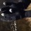 Manusi touch screen barbati Extremities Evolution