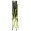 Scaun pliabil Bungee Festival Coleman, max 136 kg, lime, cu husa transport