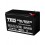 Acumulator stationar 12 V, 10 Ah, F2 AGM VRLA TED electric TED1210 pentru navomodele, barcute de plantat, sonare, etc