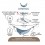 Hamac Ummoc Calatorul simplu, coral