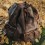 Rucsac piele model md1, volum 9 litri, Tapel