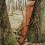 Husa piele arma de vanatoare, cu prelungire, 110 - 140 cm