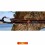 Set de ancorare pentru hamac chingi + carabine Bushmen Tree Huggers