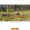 Cuie de ancorare ultra usoare, set 6 buc cu husa transport Bushmen