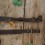 Curea din piele arma md. 1C Tapel