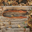 Curea din piele pentru arma md. 3 impletita Tapel