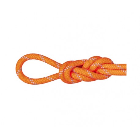 Coarda dinamica alpinism Mammut Alpine Dry, diametru 9.5 mm, lungime 60 m