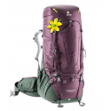 Rucsac Deuter Aircontact Pro 65+15 SL aubergine ivy