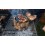 EcoGrill BBQ Medium (EcoGrillM)