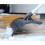 Impingator pentru zapada Fiskars SnowXpert, 1759 mm, 1700 g