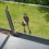 Curatator de jgheaburi Fiskars QuikFit, 340 mm, 340 g