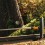 Curatator de jgheaburi Fiskars QuikFit, 340 mm, 340 g
