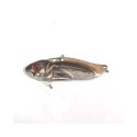 Cicada Strike Pro 5.5CM / 16.7G Astro Vibe JU007E