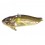 Cicada Strike Pro 6.5CM / 26.3G Astro Vibe 146OBE