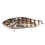 Cicada Strike Pro 6.5CM / 26.3G Astro Vibe 986E