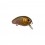 Vobler Strike Pro 2,5CM/2G Baby Pro culoare 502G